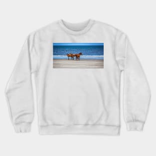 Wild Horses at Cumberland Island National Seashore Crewneck Sweatshirt